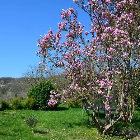 D'hotes Le Cedre Bleu Penzion